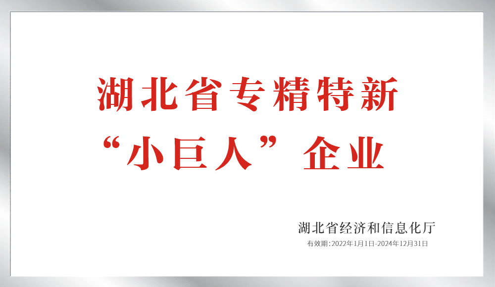湖北省專精特新“小巨人”企業(yè)