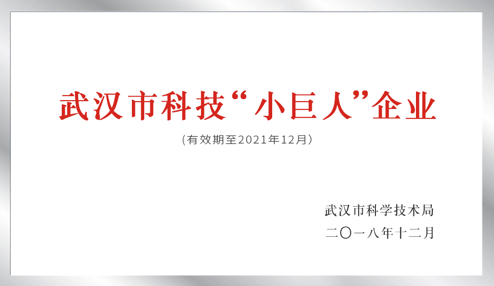 武漢市科技“小巨人”企業(yè)