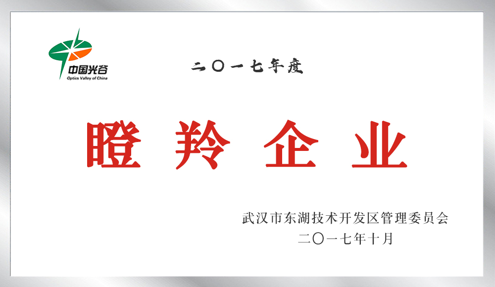 瞪羚企業(yè)（2013-2017）